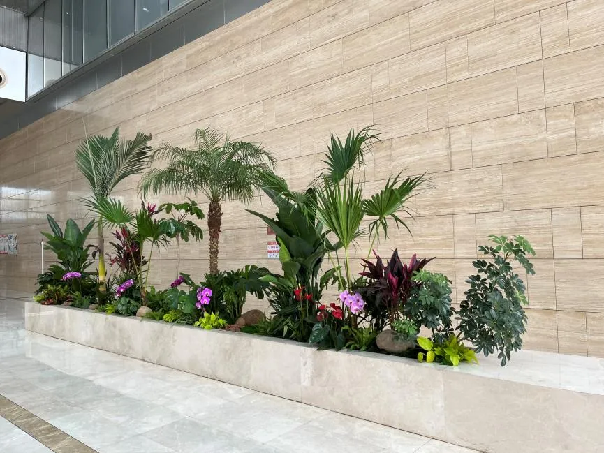 求问！宁波绿植出租哪家好？业内人士为你揭晓！